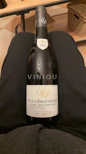 Burgund Puligny-Montrachet Premier Cru Bzikot Père & Fils Les Champs Gains 2020