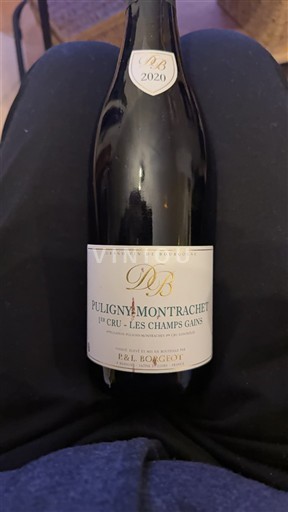 Burgundia Nespecificat Premier Cru F & L Borgeot Les Champs Gains 2020