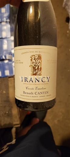 Burgundia Irancy Benoit Cantin Emeline Nemilésimat