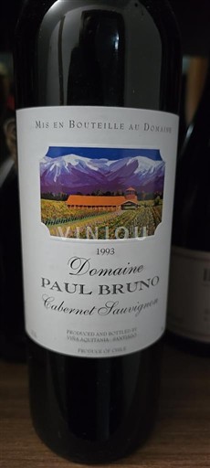 Valea Maipo Maipo Alto Domaine Paul Bruno Cabernet Sauvignon 1993