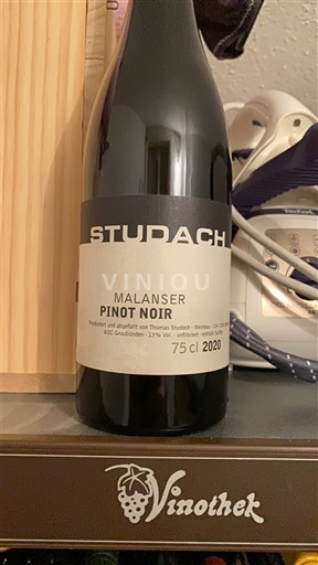 Grisons (Graubünden) Graubünden Studach 2020