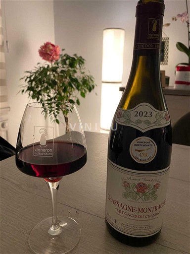 Bourgogne Chassagne-montrachet Vignoble Muzard Le Concis du Champ 2023