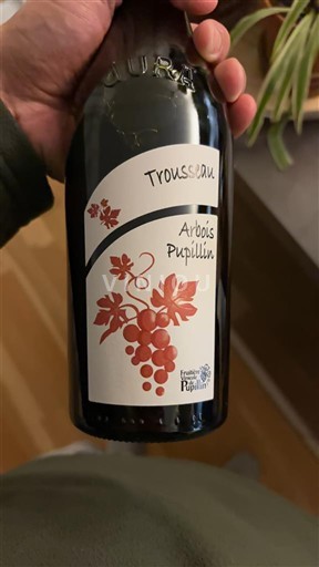 Jura Arbois-Pupillin Domaine La Renardière Trousseau 2023