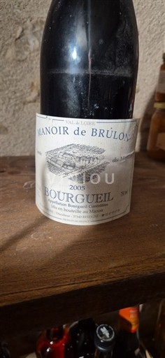 Loire Valley Bourgueil Manoir de Brûlon 2005