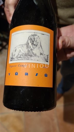 Piemonte Barolo La Spinetta Vigneto Campè 2007