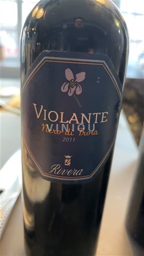 Pulia E paspecifikuar Rivera Violante 2011