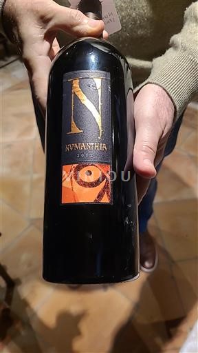 Kastilja dhe Leoni Toro Numanthia 2017