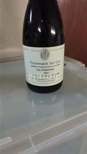 Burgundija Nespecificirano Premier Cru Domaine Gabriel Billard Les Charmots 2007
