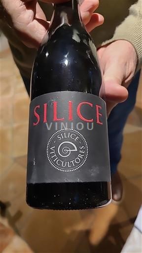 Galicia Ribeira Sacra Silice Viticultores Silice 2018