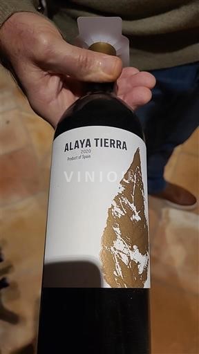 Kastilja-Mança Almansa Alaya Tierra 2020