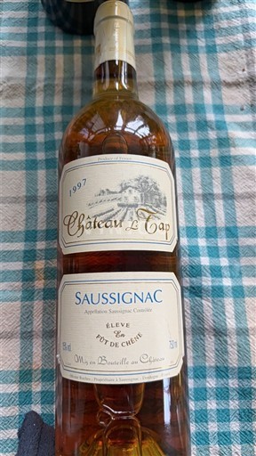 Југозапад Сосинак Château Le Tap 1997