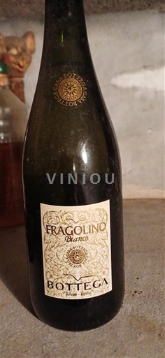Veneto Bottega Fragolino Bianco Non Millésimé