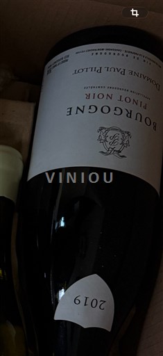 Burgundija Domaine Paul Pillot 2019