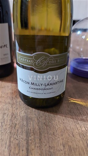 Bourgogne Mâcon et mâcon-villages Château S Bois 2023