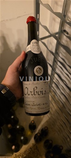 Žura Арбуа Lucien Aviet & Fils des géologues 2015