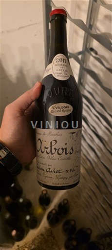 Žura Арбуа Lucien Aviet et Fils Trousseau Bénard Rozier des géologues 2017