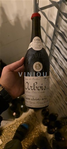 Žura Арбуа Lucien Aviet & Fils des géologues 2011