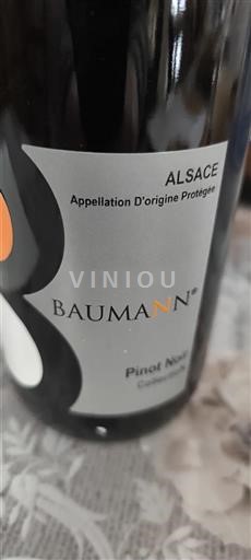 Алзас Аласас Baumann 2018