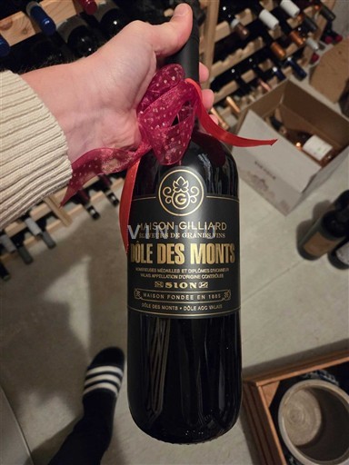 Valais Maison Gilliard Dôle des Monts 2021