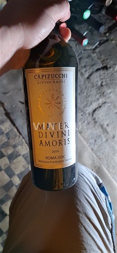 Emilia-Romagna Romagne Capizucchi Mater Divini Amoris 2019