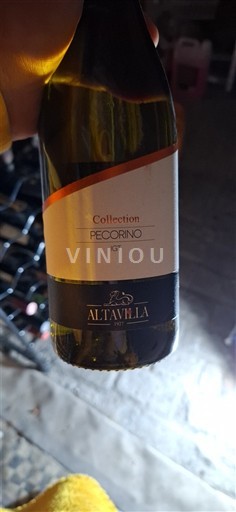 Abruco Земље Кјети Altavela Collection Pecorino 2022