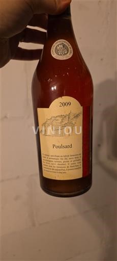 Jura Côtes-du-jura Morel-Thibaut Poulsard 2009