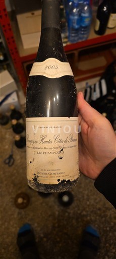 Burgundija Nespecificirano Domaine Boyer-Gontard Les Champlains 2005