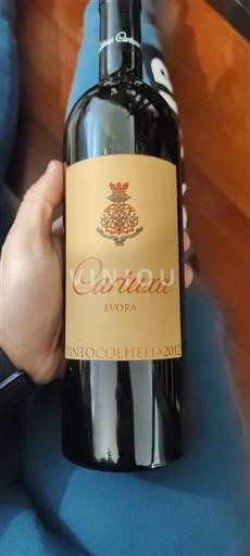 Алентижо Алентежу Cartuxa Colheita 2012