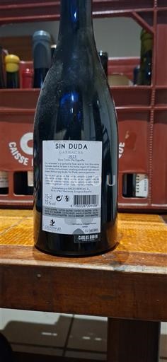 Aragoni Carinena Carlos Ruben Sin Duda 2023