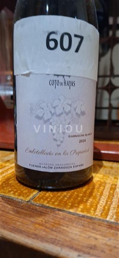 Арагон Кампо де Борха Coto de Hayas Garnacha Blanca 2024
