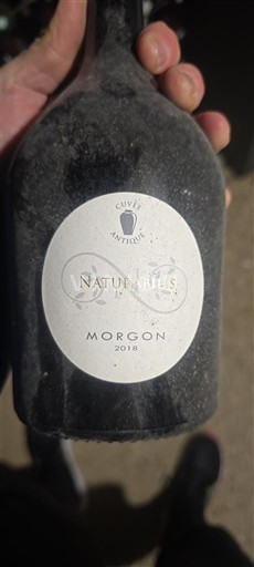 Beaujolais Morgon Antichambre Nature-ills 2018