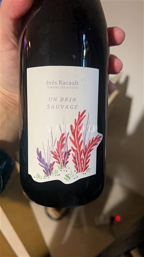 Údolí Loiry Touraine Domaine Bleuzes Un Brin Sauvage 2020