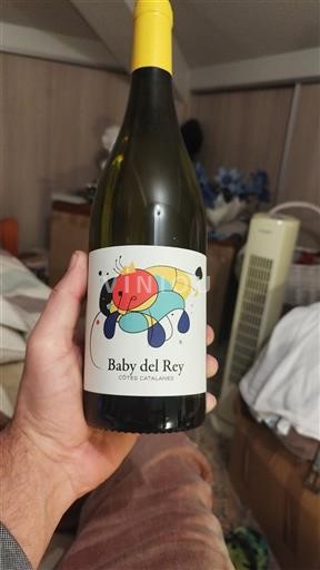 Лангедок и Русијон Кот Каталанес Clos del Rey Baby del Rey 2024
