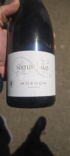 Божоље Моргон Naturalisilis Antique 2021