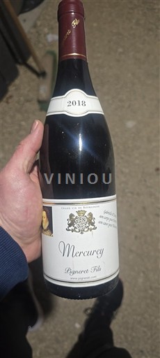 Borgogna Mercurey Pagnotte Fils 2018