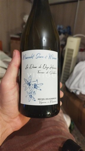 Loiredalen Muscadet-sèvre-et-maine Michel Delhommeau La Dame de Onze Heures Terres de Gabbro 2023