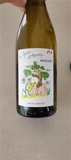 Lugina e Luarës Muscadet Jérémie Huchet A Pied d'Oeuvre Jo Viti