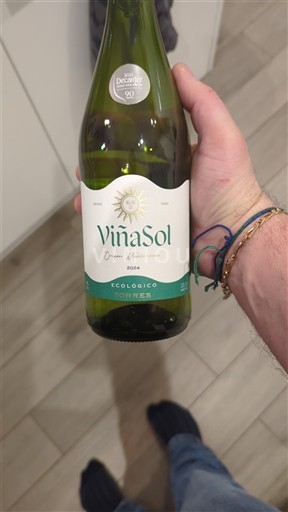 Katalonja Torres Viña Sol Organic 2024