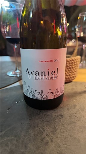 Castilia și León Ribera del Duero Avaniel Tempranillo 2021