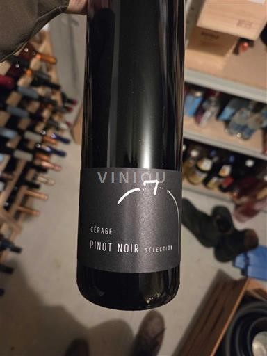 Fribourg Vully Domaine Et Cave le Petit Chateau Pinot Noir Sélection 2022