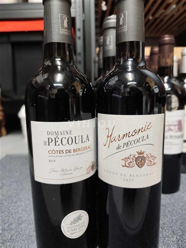 Jugperëndim Côtes-de-bergerac Domaine Pécoula 2019