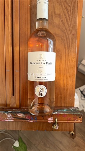 Југозапад Фронтон Château Bellevue La Forêt 2024