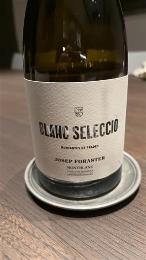 Vinuri Blanc sec Blanc Selecció Josep Foraster 2024 Spania Catalonia Conca de Barberà DO