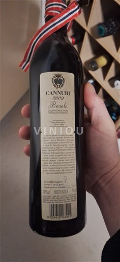 Piemonte Barolo Cannubi 2009