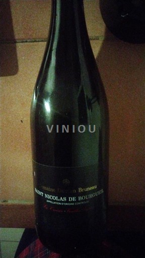 Loire-dalen Saint-Nicolas-De-Bourgueil Bruneau 2024