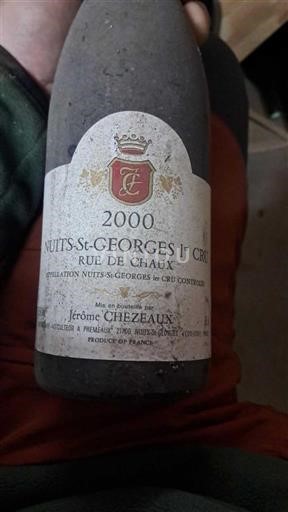 Burgund Ikke spesifisert Premier Cru Jérôme Chézeaux Rue de Chaux 2000