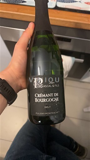 Burgund Crémant-de-Bourgogne Jean Pascal & Fils Ikke-årgang