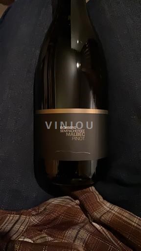 Lucern Nespecificirano Brunner Weinmanufaktur Malbec Pinot Noir 2022