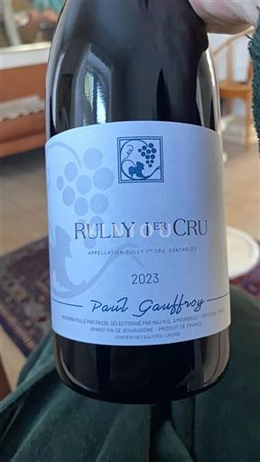 Burgundija Nespecificirano Premier Cru Paul Gauffroy 2023