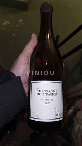 Burgund Chassagne-Montrachet Premier Cru Lamy-Pillot Les Caillerets 2022